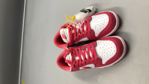 nike dunk sb Archeo Pink4