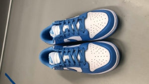 nike dunk sb University Blue5