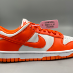 nike dunk sp Syracuse2