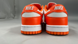 nike dunk sp Syracuse5