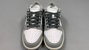 nike dunk sp smoke grey5