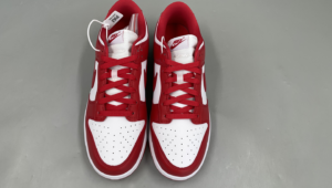 nike dunk sp university Red5