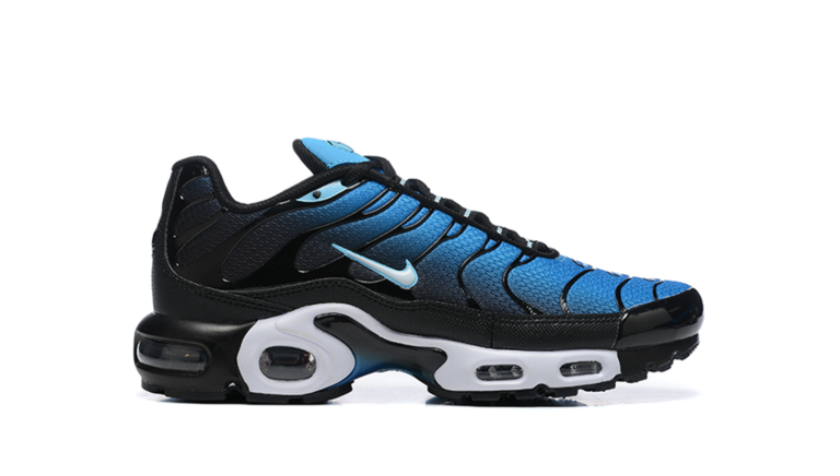 Air Max TN Plus Aquarius Blue2