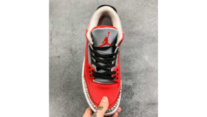 Air Jordan 3 Retro SE Unite3